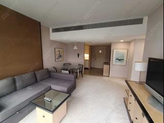 Wan Chai - Convention Plaza Apartments 02