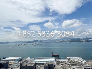 Sai Ying Pun - Des Voeux W Residence 07