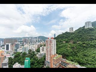 東半山 - 竹林苑 03