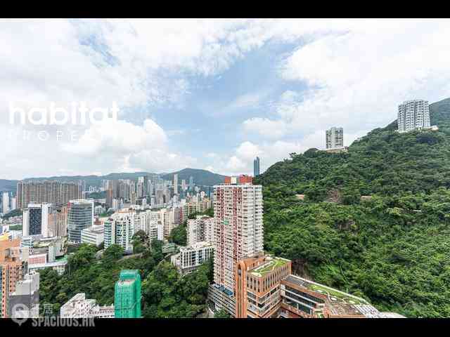 東半山 - 竹林苑 03
