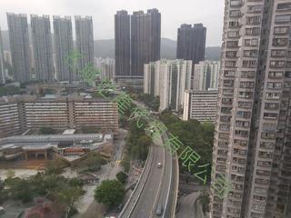 大围 - 金狮花园2期 18