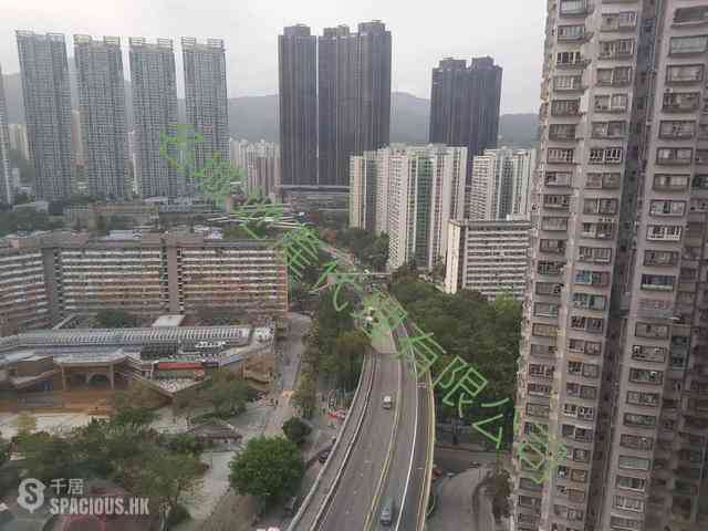 大围 - 金狮花园2期 18