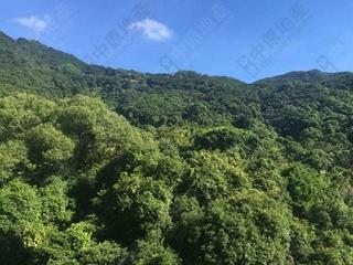 西半山 - 杏彤苑 06