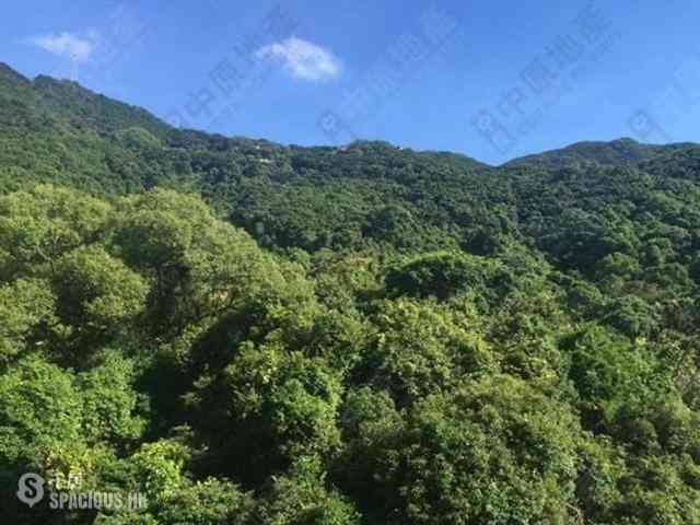 西半山 - 杏彤苑 06