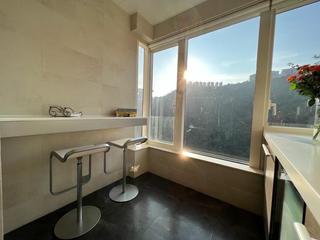Mid Levels Central - Tregunter Tower 3 04