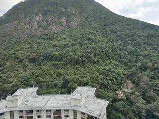 中半山 - 殷桦花园2期 09