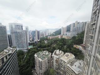中半山 - 寶樺臺 11