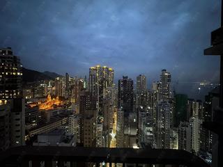 Sai Ying Pun - 15 Western Street 05