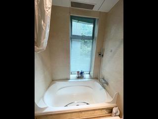 Mid Levels Central - Regence Royale Tower 2 06