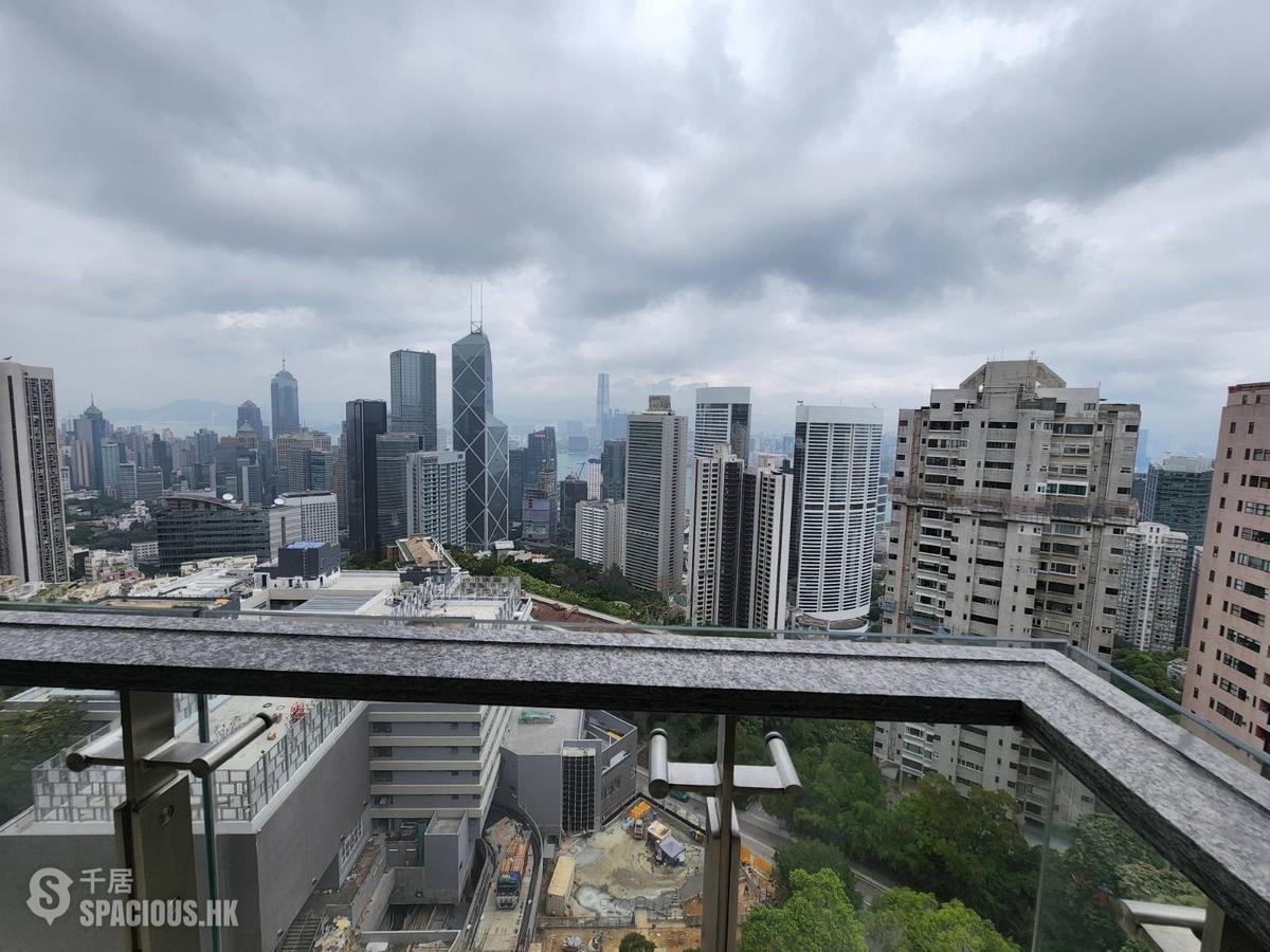 中半山 - 21 Borrett Road 6號及7號 01