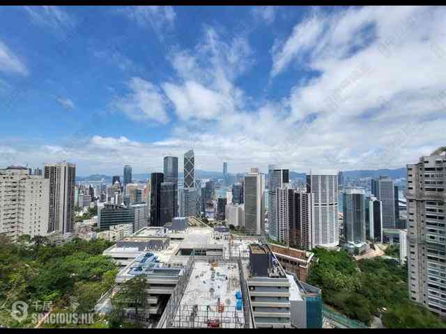 中半山 - 21 Borrett Road 6號及7號 19