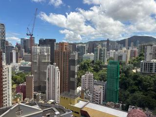 東半山 - 竹林苑82号 08