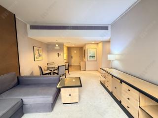 Wan Chai - Convention Plaza Apartments 03
