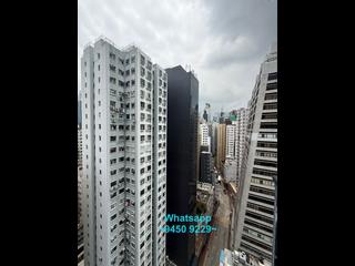 Sheung Wan - Medal Court 12