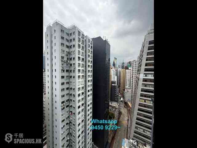 Sheung Wan - Medal Court 12
