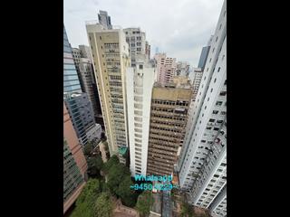 Sheung Wan - Medal Court 13