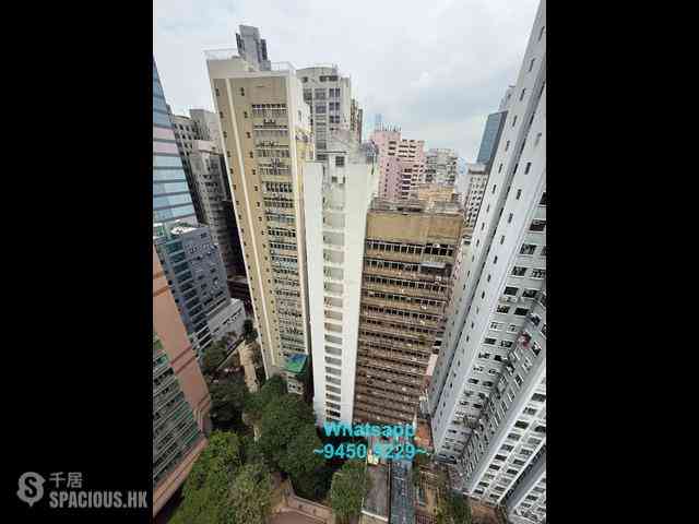 Sheung Wan - Medal Court 13