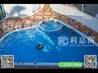 西贡 - 御花园 19