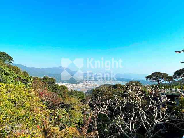 清水湾 - 嘉颖别墅 02