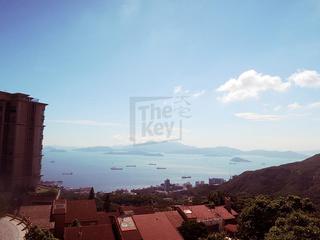 The Peak - Kelletteria 02