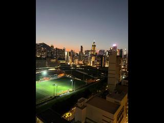 Happy Valley - Pioneer Court 02