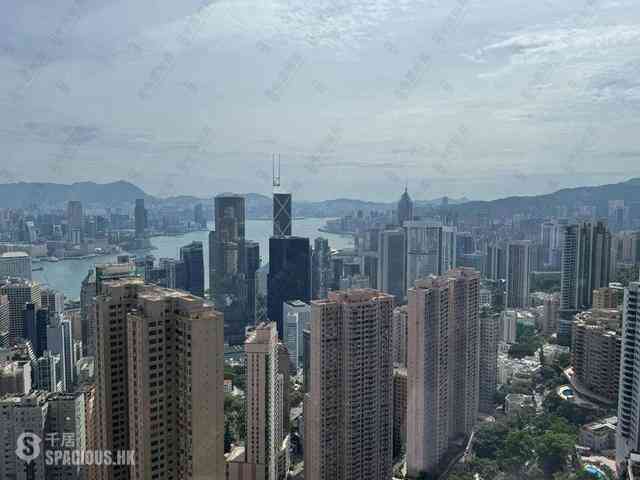 中半山 - 地利根德閣3座 12