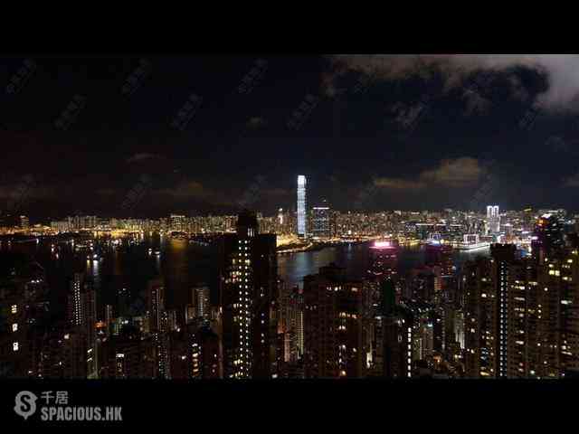 西半山 - 帝豪阁C座 03