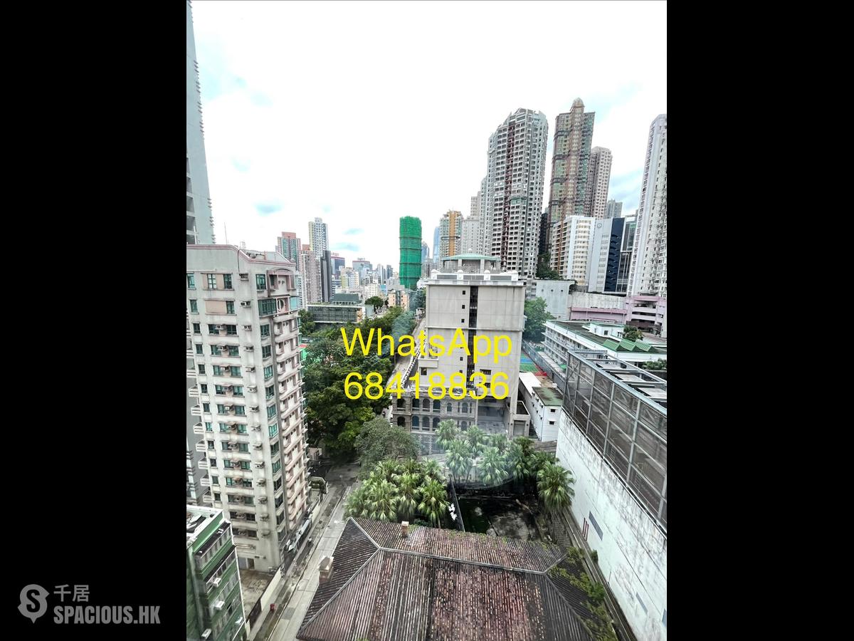 西营盘 - 半山名汇 01