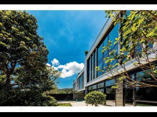 Shouson Hill - Ansaldo 12