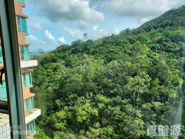 调景岭 - 维景湾畔2期10座 01