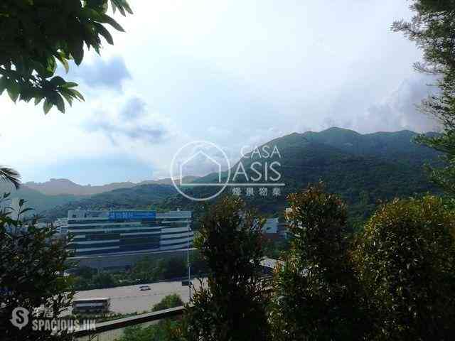 寿臣山 - Shouson Peak 05