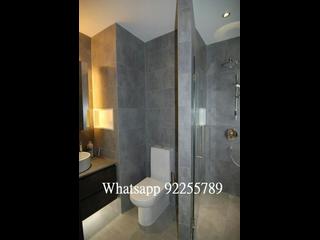 Sai Ying Pun - Golden Phoenix Court 05