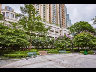 大角咀 - 帝峯・皇殿3座 14
