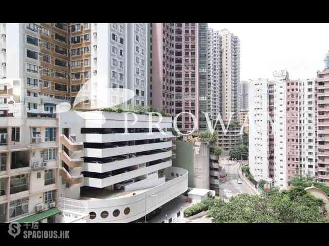 Mid Levels Central - Robinson Place 09