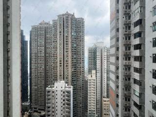 中半山 - 敦皓 15