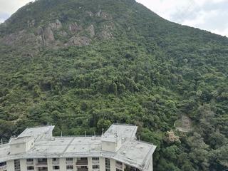 中半山 - 殷樺花園2期 02
