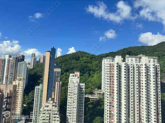 Tai Hang - The Warren 01