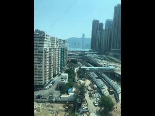 油麻地 - 御金・國峯3座 04