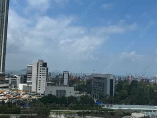 油麻地 - 御金・國峯3座 05