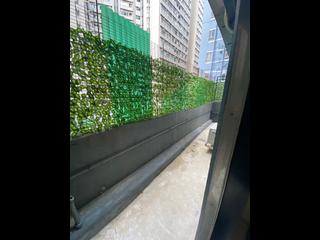 North Point - Yen Po Court 10
