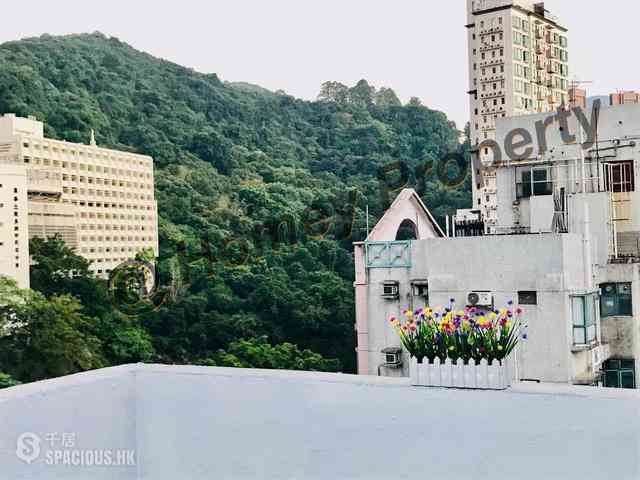 Causeway Bay - Hang Po Building 02
