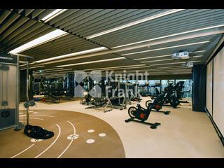 Shau Kei Wan - Island Garden 11