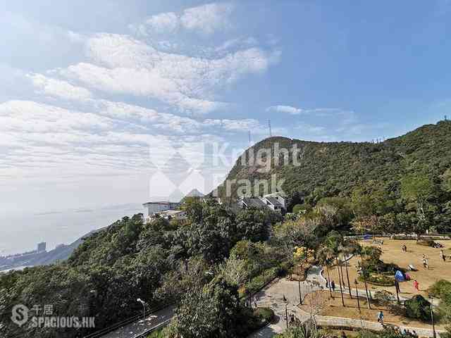 The Peak - The Mount Austin 02