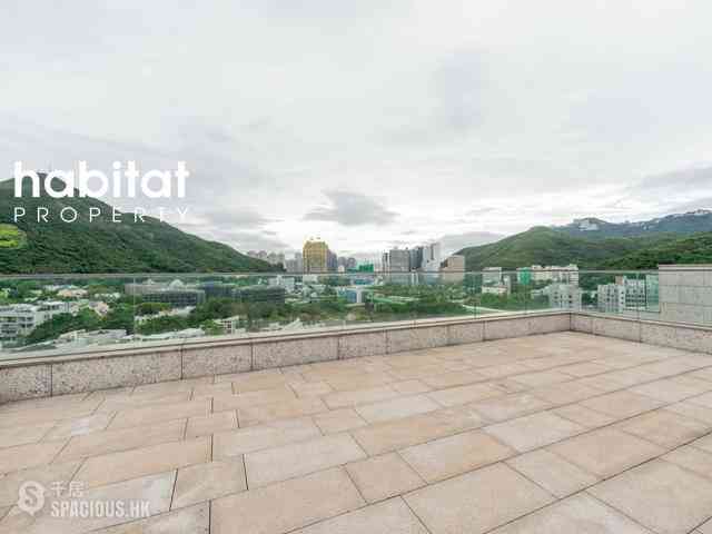 寿臣山 - Shouson Peak 08