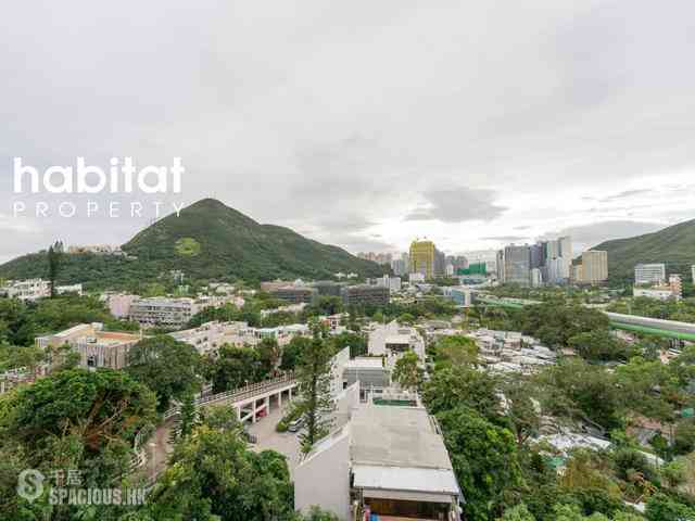 寿臣山 - Shouson Peak 09