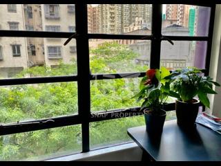 Sai Ying Pun - Fook On Building 10