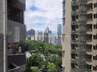 中半山 - 麦当劳道11号 08