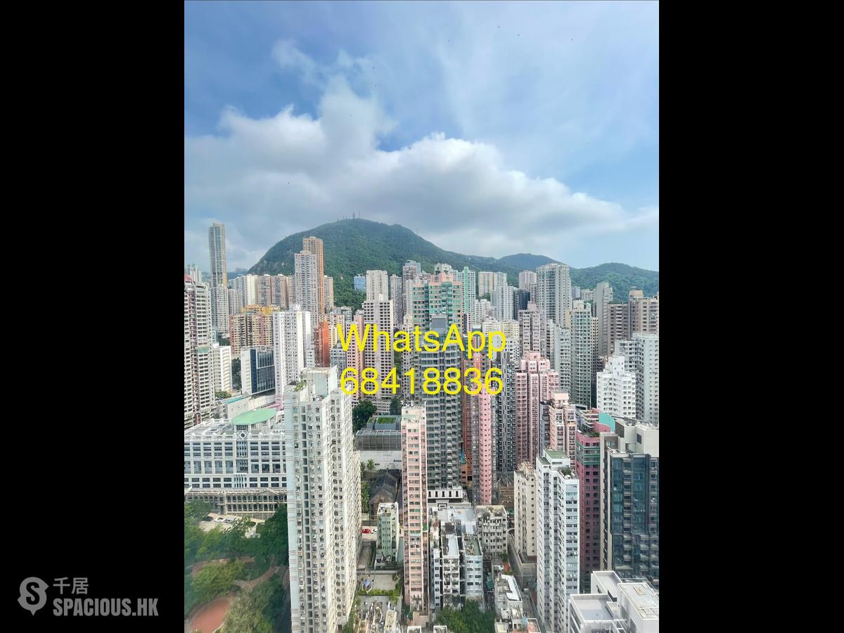 Sai Ying Pun - Island Crest 01