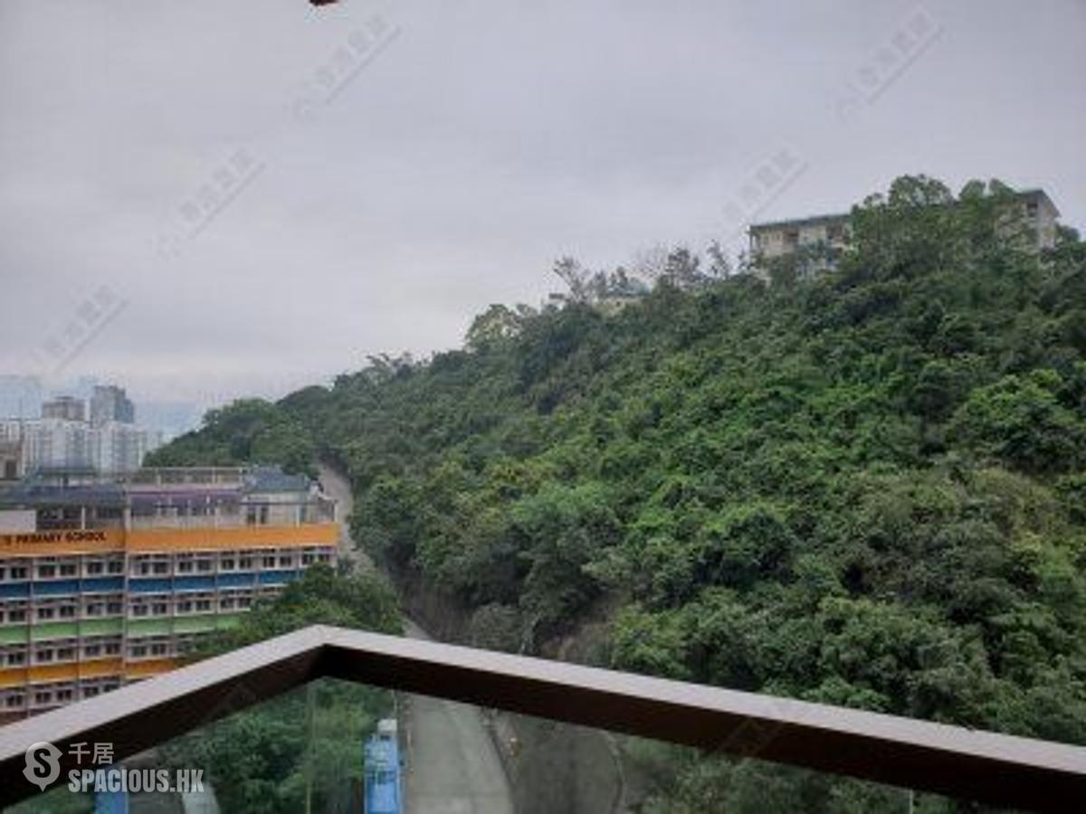Shau Kei Wan - Island Garden 01