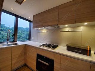 Shau Kei Wan - Island Garden 07